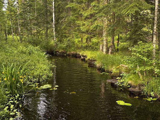 Biohajoava saippua mökille on pieni ja helppo ekoteko