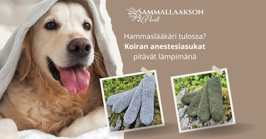 Koiran anestesiasukat ovat lempeä apu
