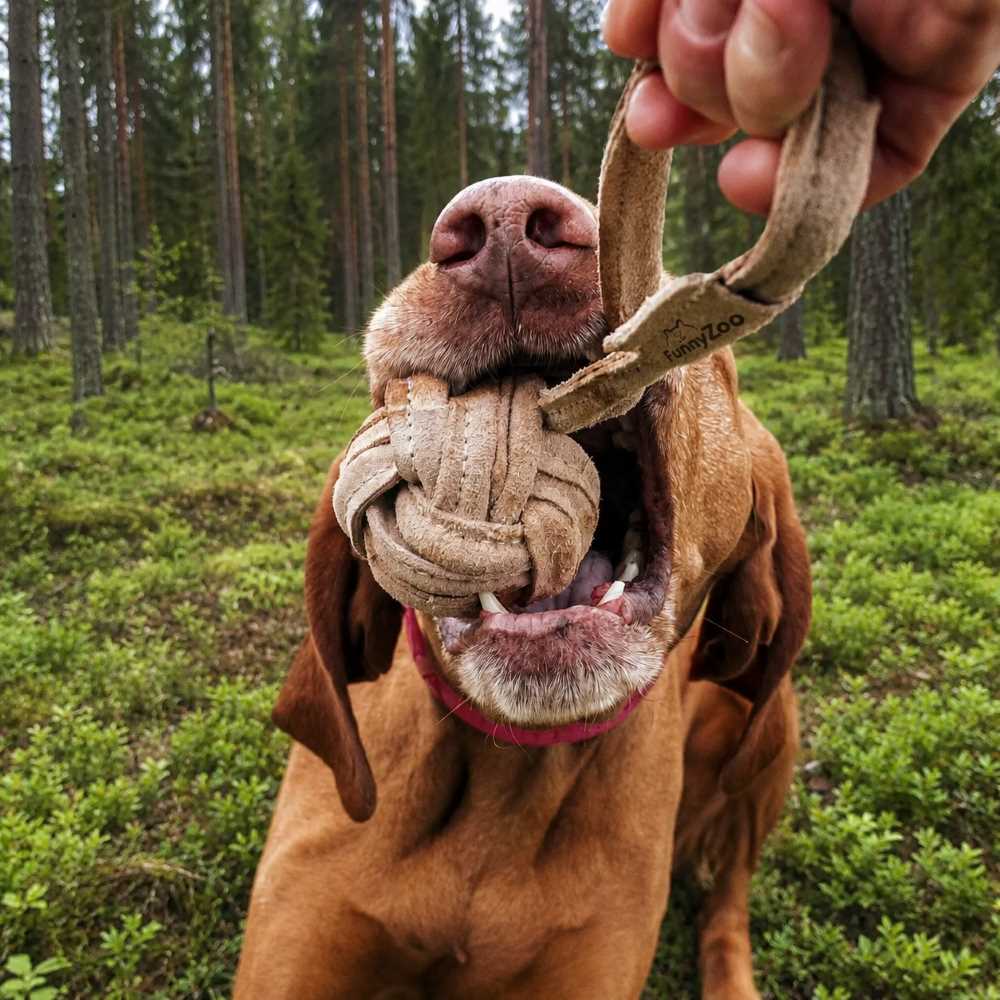 Mokkanahkainen pallo kahvalla