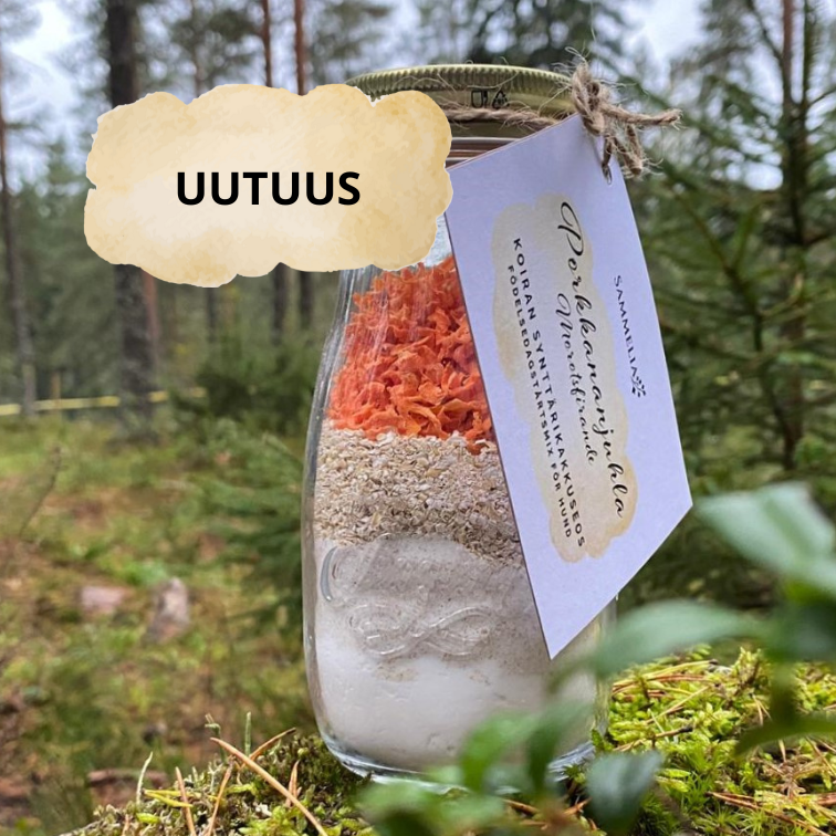 Sammelia Porkkananjuhla koiran synttärikakkuseos