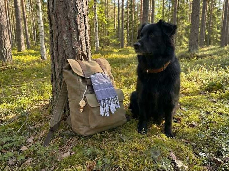 koira metsäretkellä repun vieressä sammaleisessa metsässä