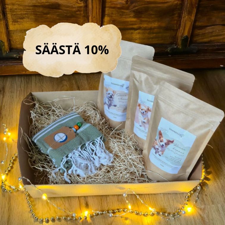 Koiran joululahjapaketti