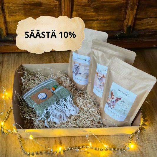 Koiran joululahjapaketti