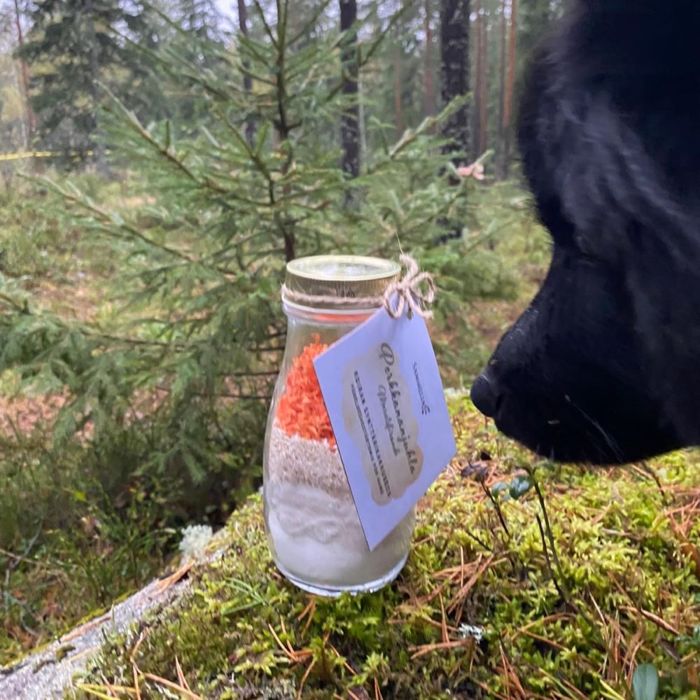 Koiran syntymäpäiväkakkumix