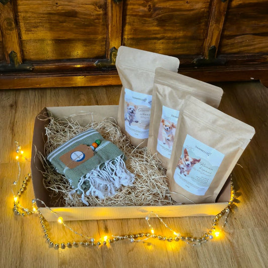 Koiran joululahjapaketti