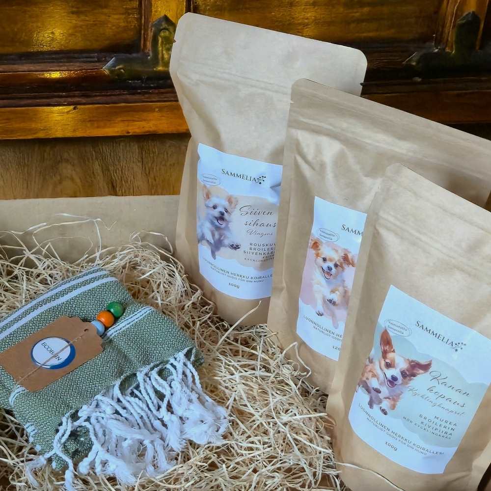 Lähikuva koiran joululahjapaketista
