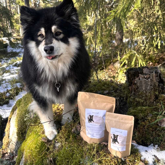 Nalle suosittelee Sammelia Peuran puraisua