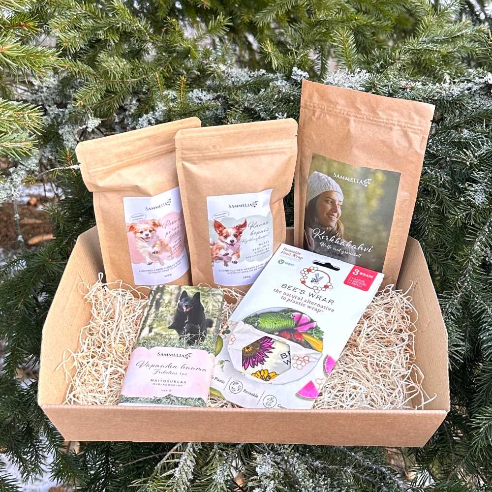 Retkihetki luonnonystäville ja koiraperheille