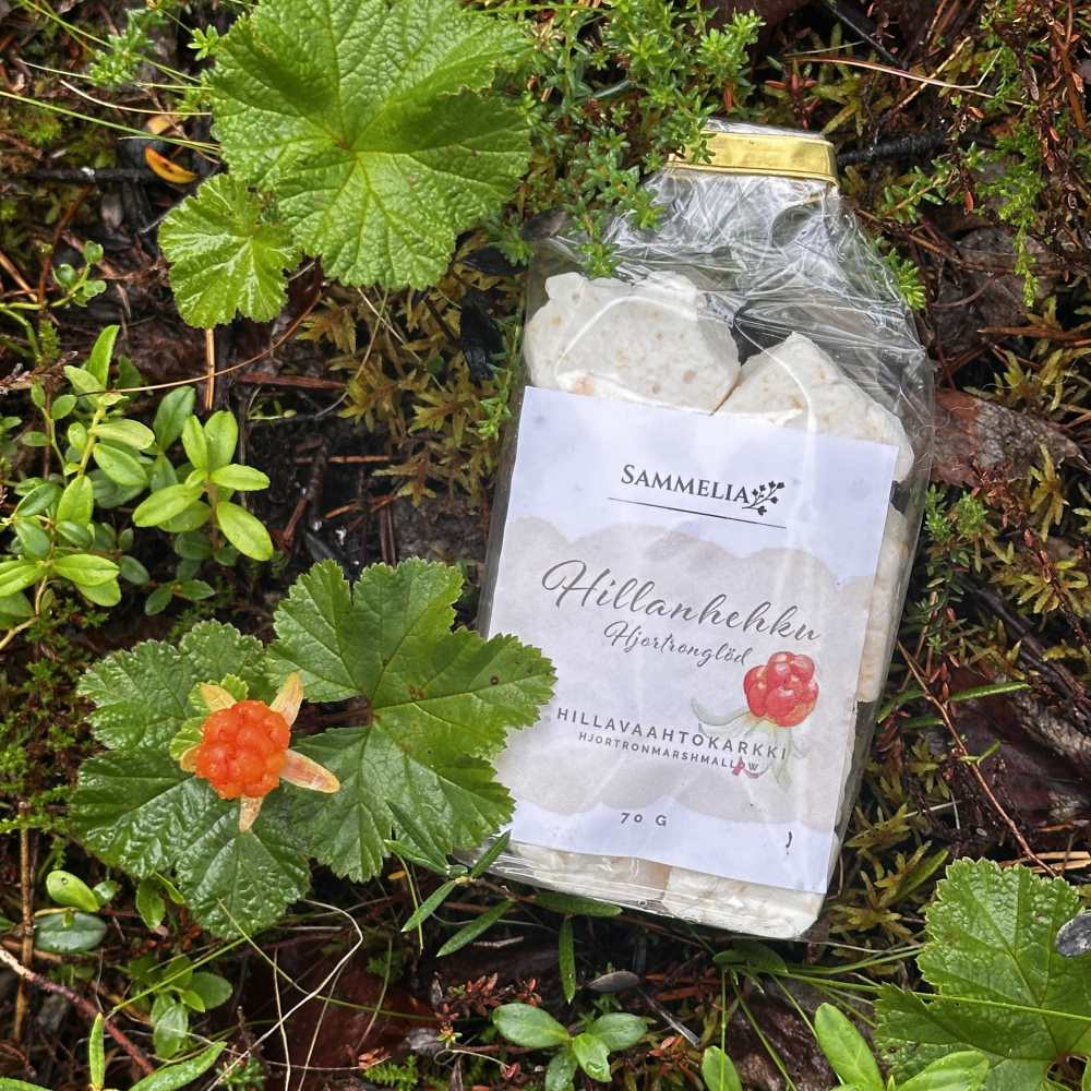Hillavaahtokarkki Hillanhehku