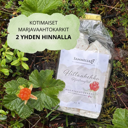 Hillavaahtokarkki Hillanhehku