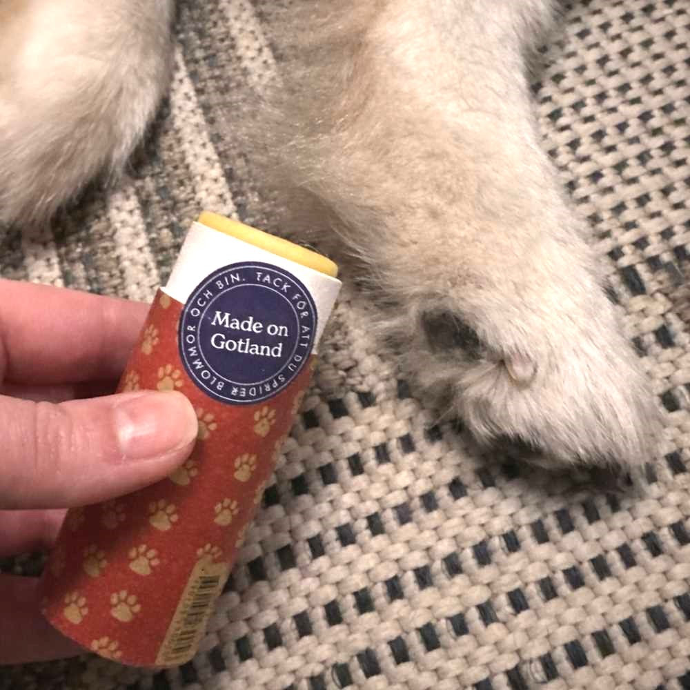 Tassuvoidepuikko ja koiran tassut