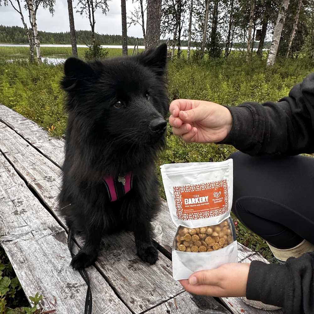 The Barkery Porkkana & Inkivääri on laadukas kotimainen treeninami